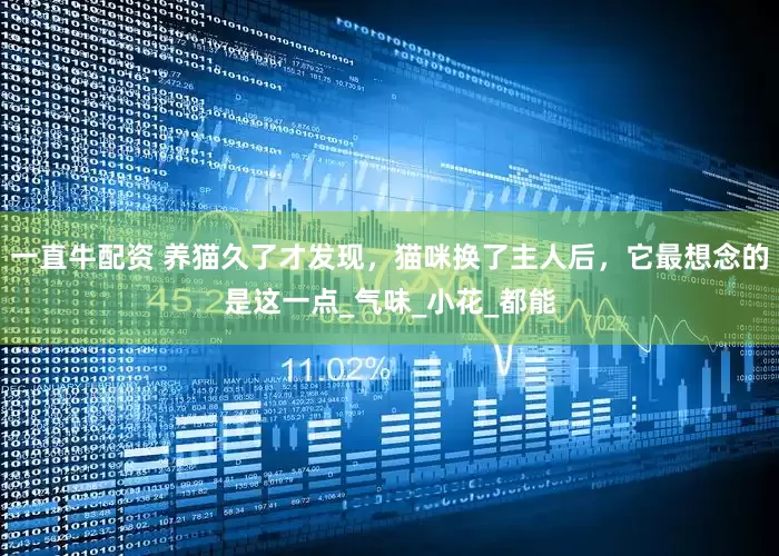 一直牛配资 养猫久了才发现，猫咪换了主人后，它最想念的是这一点_气味_小花_都能