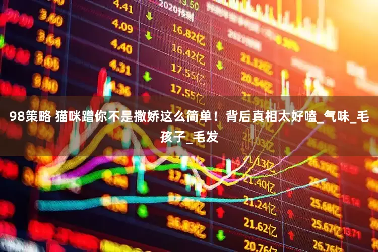 98策略 猫咪蹭你不是撒娇这么简单！背后真相太好嗑_气味_毛孩子_毛发