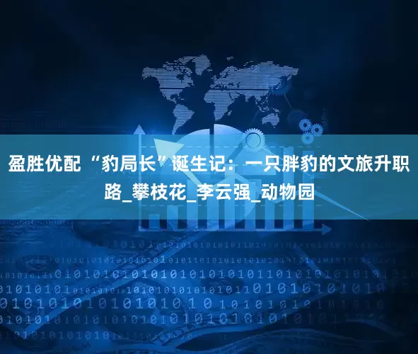 盈胜优配 “豹局长”诞生记：一只胖豹的文旅升职路_攀枝花_李云强_动物园