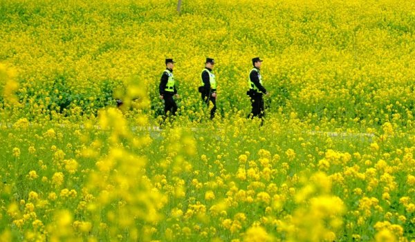98策略 春暖花开季， 高新警方深耕“旅游警务”护航经济发展