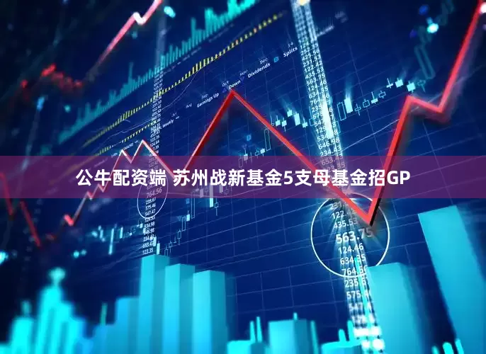公牛配资端 苏州战新基金5支母基金招GP