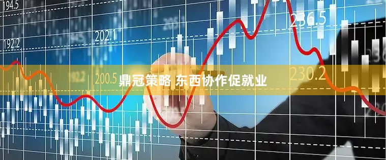 鼎冠策略 东西协作促就业