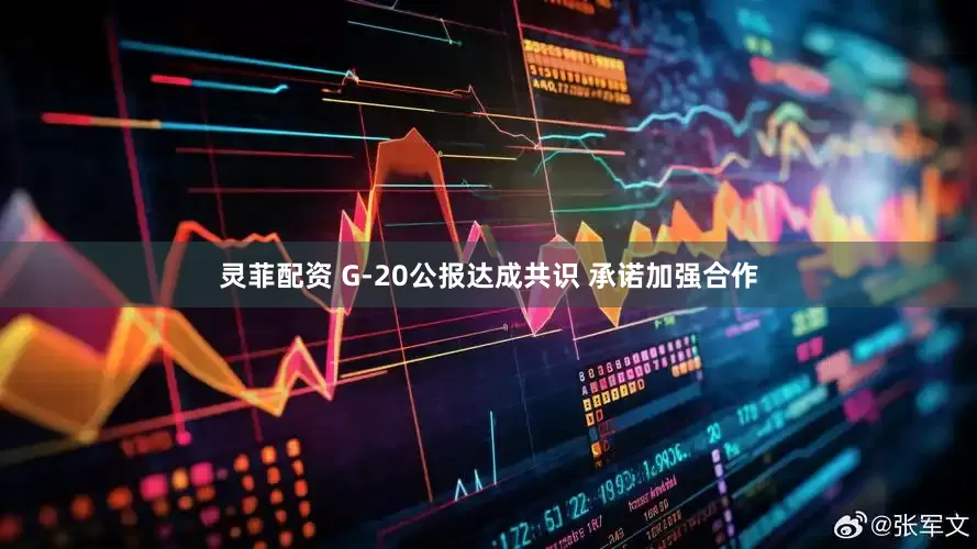 灵菲配资 G-20公报达成共识 承诺加强合作