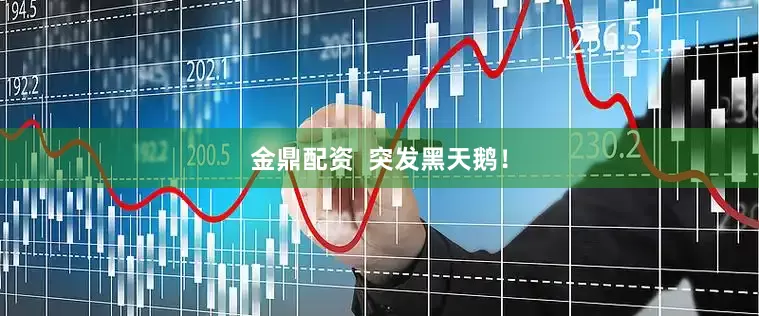 金鼎配资  突发黑天鹅！