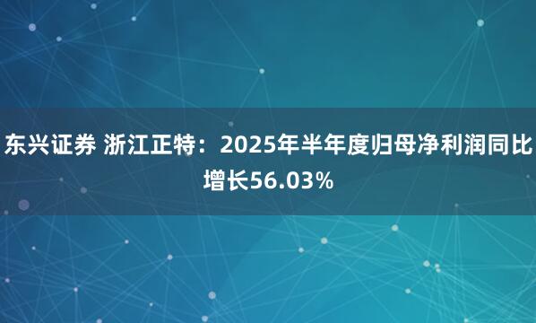 东兴证券 浙江正特：2025年半年度归母净利润同比增长56.03%