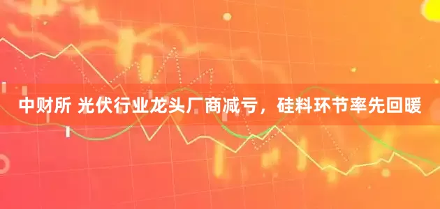 中财所 光伏行业龙头厂商减亏，硅料环节率先回暖