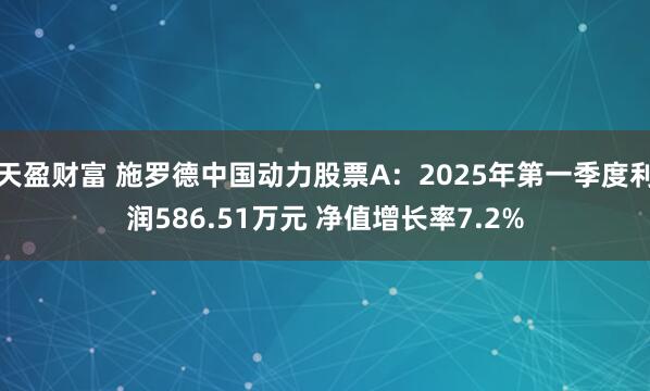 天盈财富 施罗德中国动力股票A：2025年第一季度利润586.51万元 净值增长率7.2%