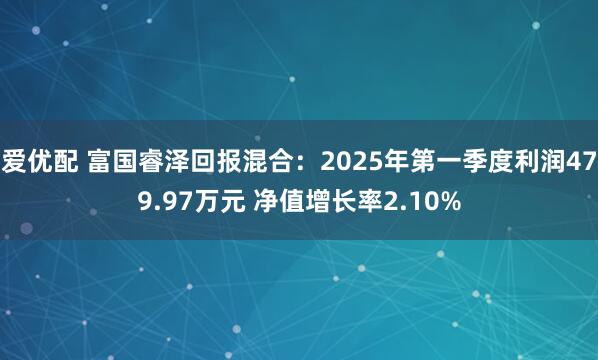 爱优配 富国睿泽回报混合：2025年第一季度利润479.97万元 净值增长率2.10%